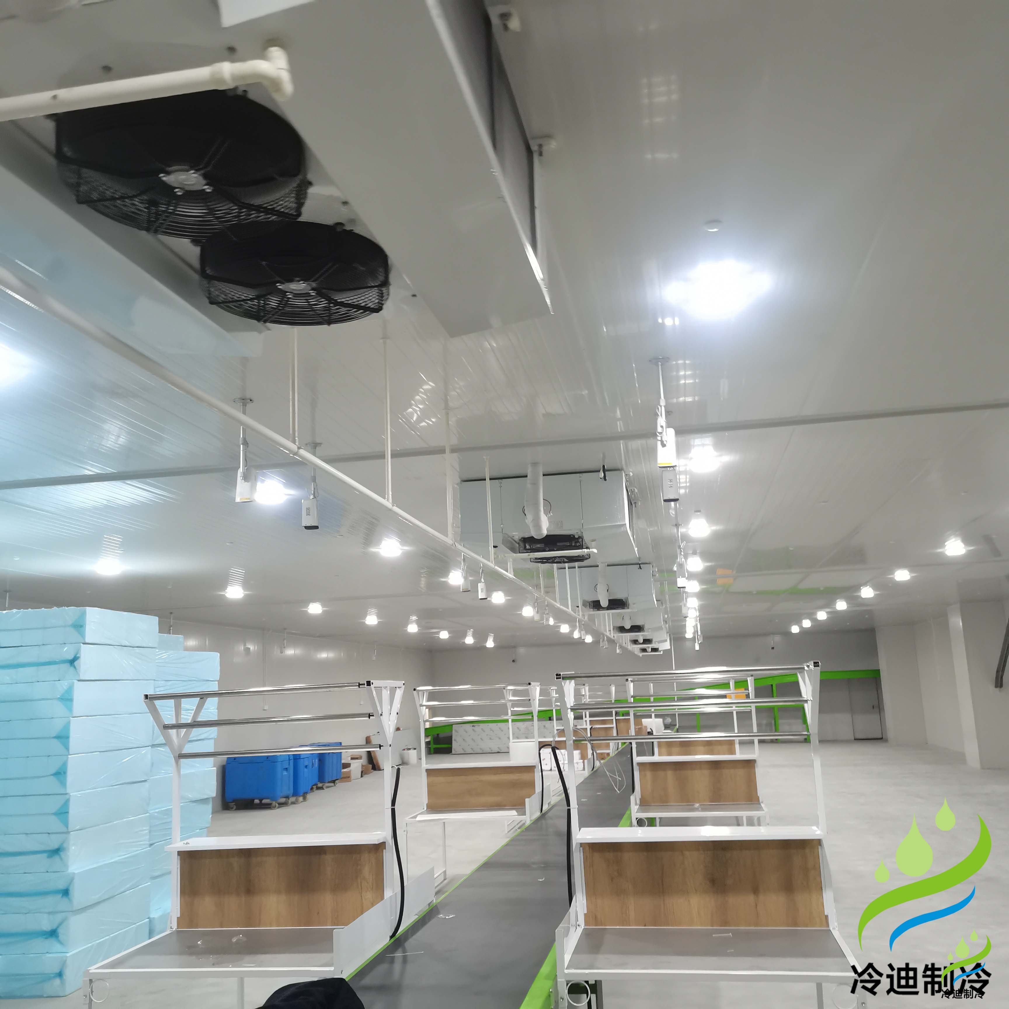 建造5萬噸農產品冷庫及設計需要成本多少錢？(圖2)