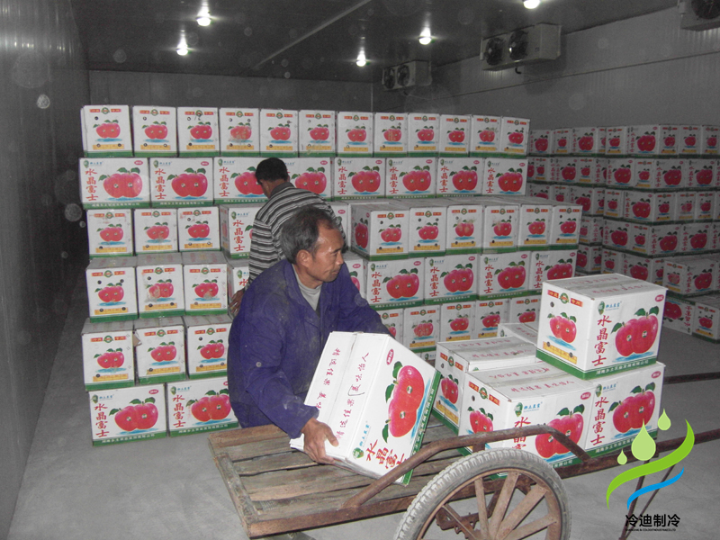 安裝一個蘋果保鮮冷庫大概多少錢？