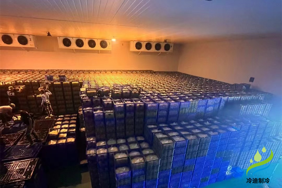 1000立方冷庫可以存多少噸？用多大制冷設備？